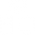 lefticonpartner