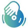 CD icon